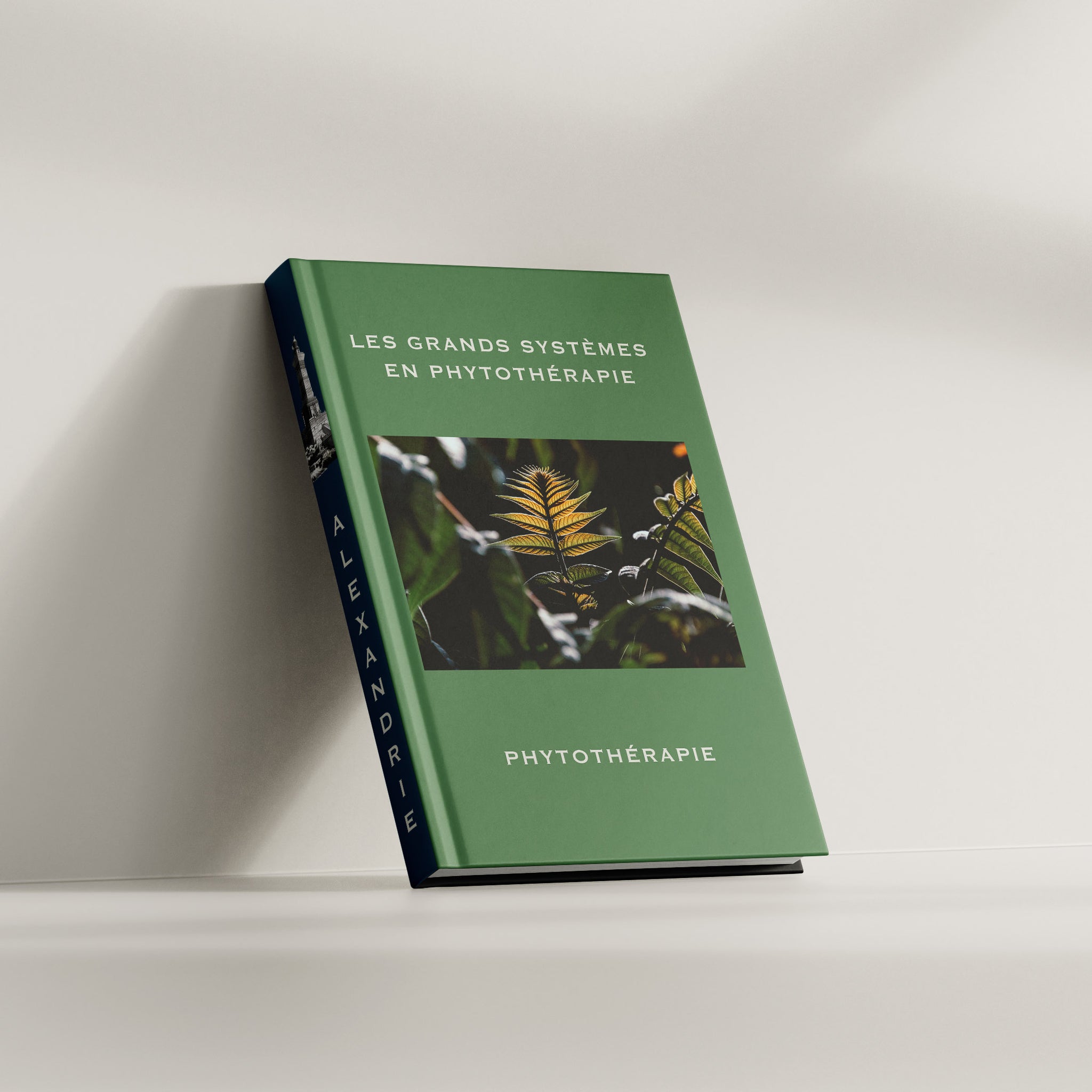 Phytothérapie des grands systèmes