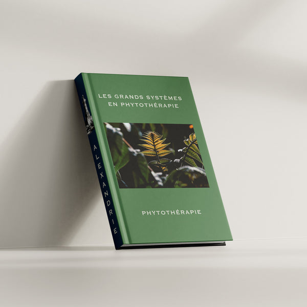Phytothérapie des grands systèmes